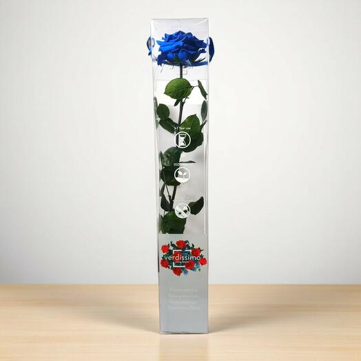 Rosa Eterna Azul Premium – Rosa Preservada Elegante