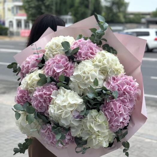 Ramo de 15 hortensias