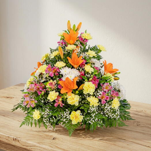 Composicion Luz y Gratitud