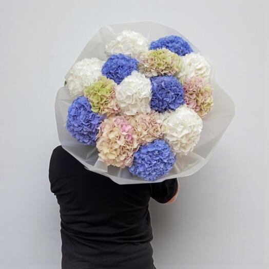 Ramo XXL Hortensias Arcoiris — Bouquet grande de hortensias mixtas premium