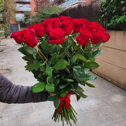 35 rosas rojas