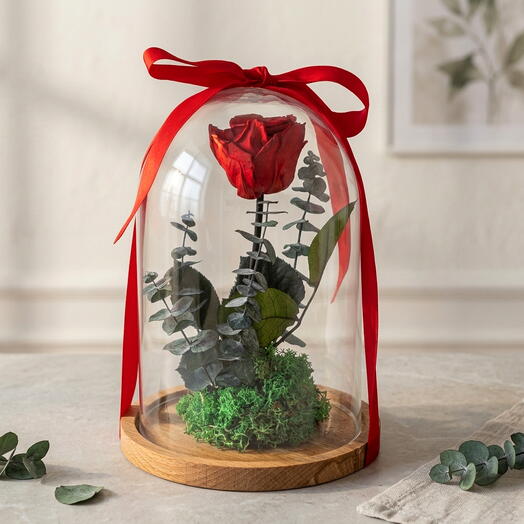 ROSA PRESERVADA EN CUPULA