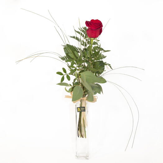 A Long-Stemmed Red Rose