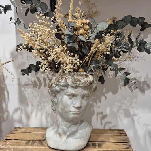 Centro adonis OFERTA