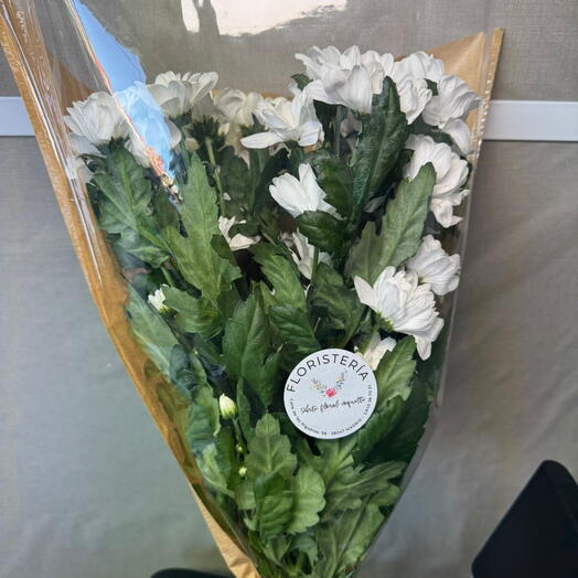Ramo Margarita blancas