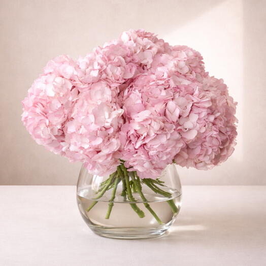 Hydrangea Pink (10 steems)