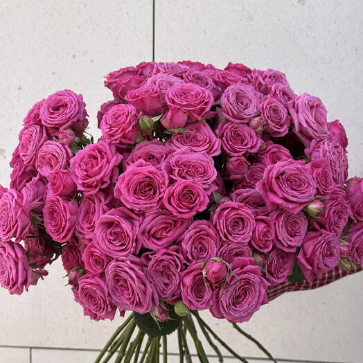 Bouquet of 21 fuchsia spray roses