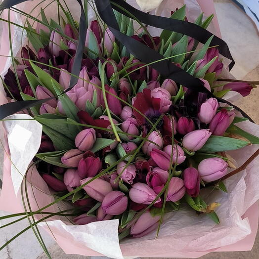 Mixto tulipan purpura