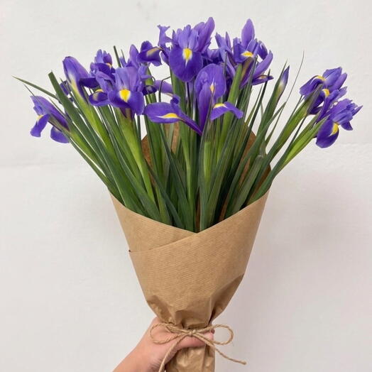 Ramo 21 Iris Morados – Bouquet Elegante y Natural