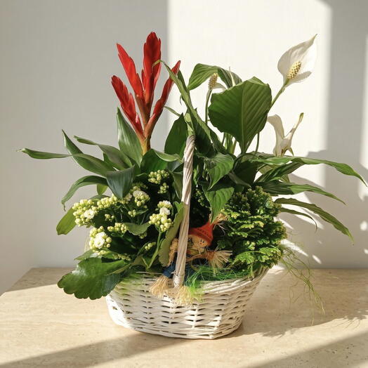 Cesta Natural con Plantas Vivas