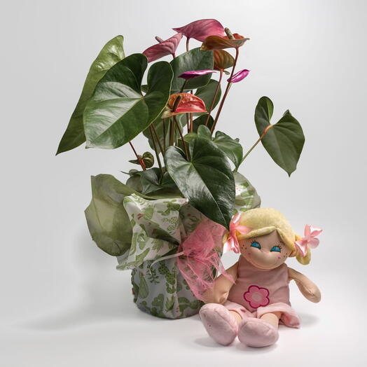 Arreglo decorativo con anthurium y muneca de peluche