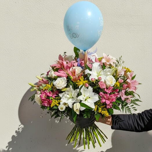 Bienvenido, Pequeno Principe