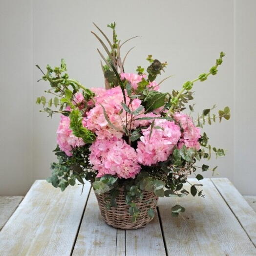 Ceston de Hortensias Rosadas