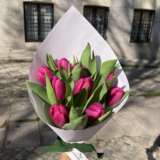 Tulipanes euforia