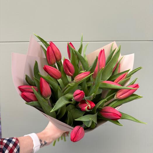 20 Tulipanes Rojos