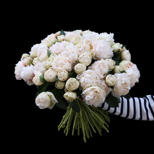 Bouquet of 50 white peonies