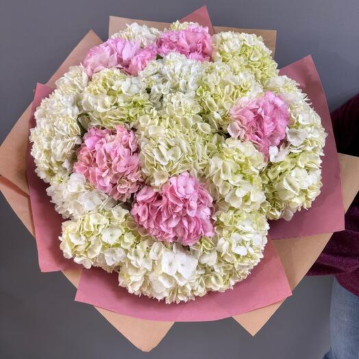 Ramo de 21 hortensias