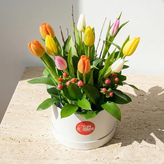 Sombrerera 10 tulipanes