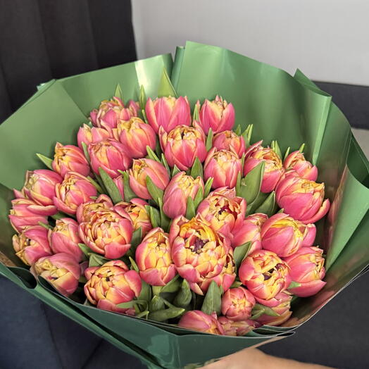 Peony Tulips