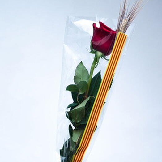 Rosa Sant Jordi roja de 60 cm