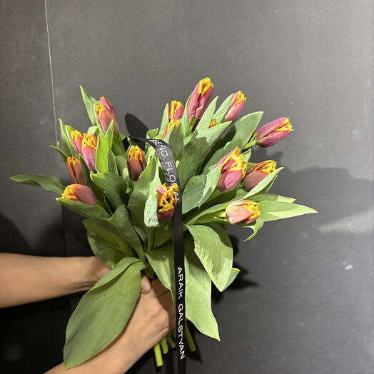 Tulip 2 colors