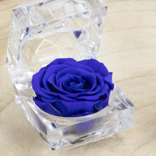 Rosa preservada en tonalidad azul
