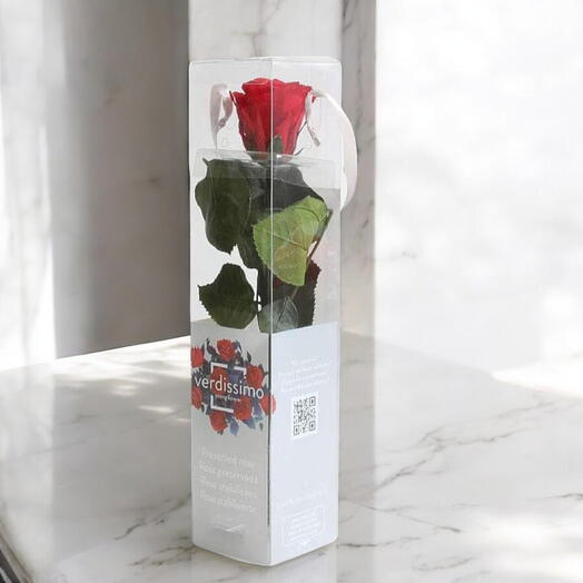 Rosa preservada larga