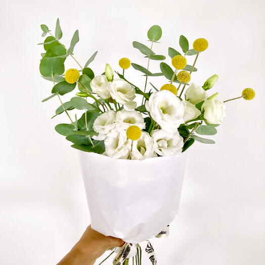 Белый всплеск