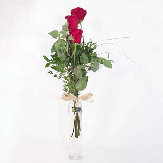 Three Red Roses - Passion