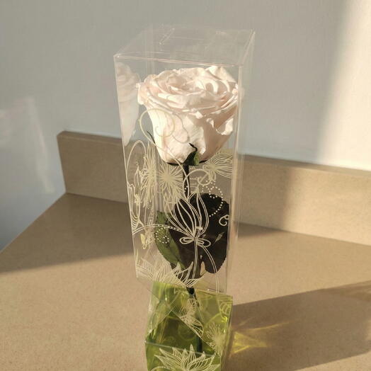 Стабилизированная белая роза короткий стебель