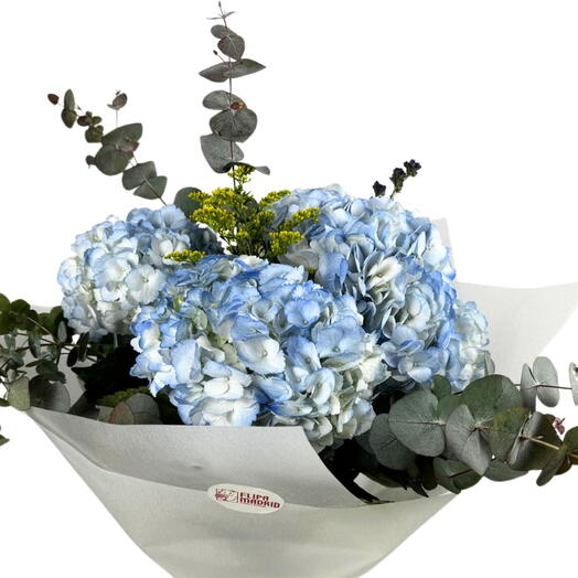Ramo 5 flores de hortensias, flores y eucalipto