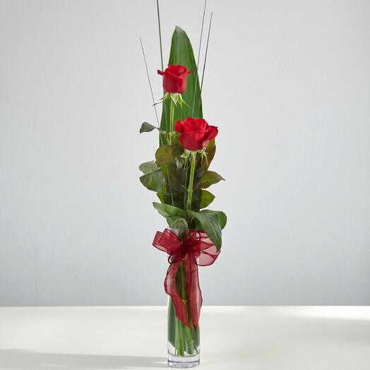 Tallo de 2 Rosas Rojas