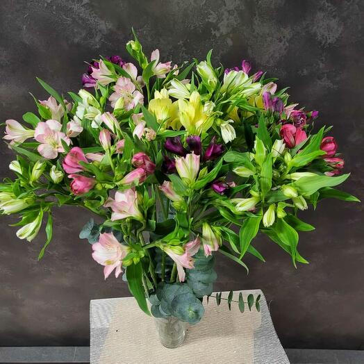 Ramo de 20 tallos de astromelias