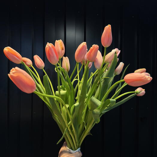 French tulips 25 pcs