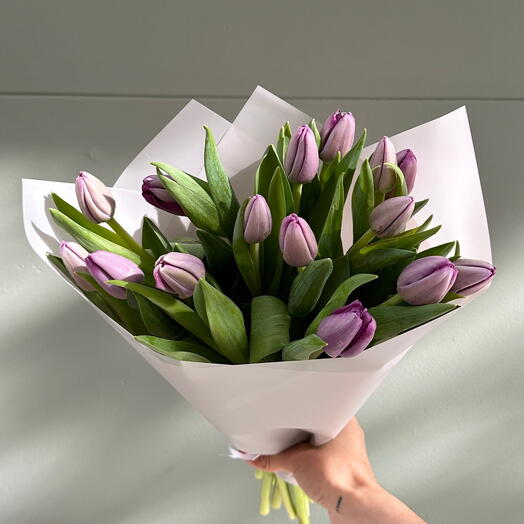 15 purple tulips