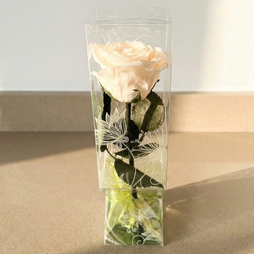 Стабилизированная роза, натурального цвета, короткий стебель