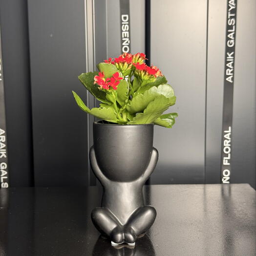 Kalanchoe en maceta humanoide decorativa