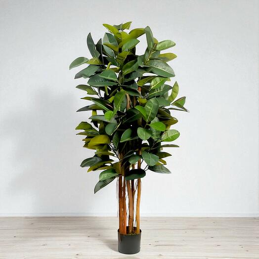 Ficus Pandurata Artificial