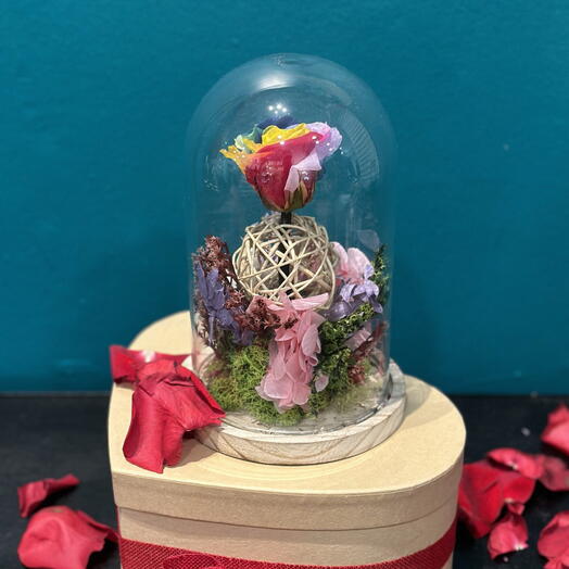 Cupula de flor preservada - Eterno arcoiris