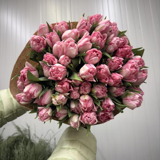50 Pink Peony Tulip