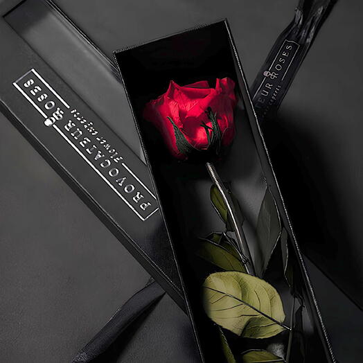 Rosa eterna roja con tallo en caja