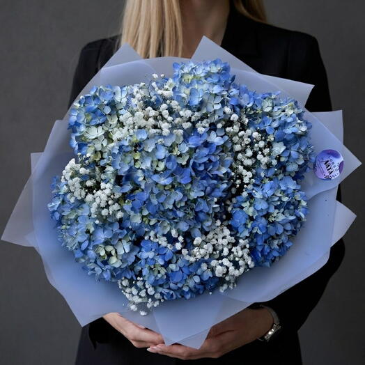 Ramo de Hortensias Azules y Paniculata
