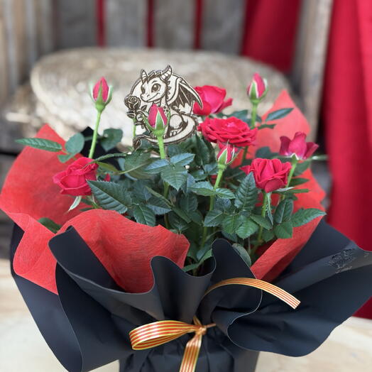 Rose miniature avec petit dragon