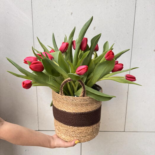 Tulipanes rojo pasión en una cesta