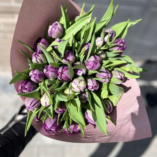 Tulipanes  de cualquier color