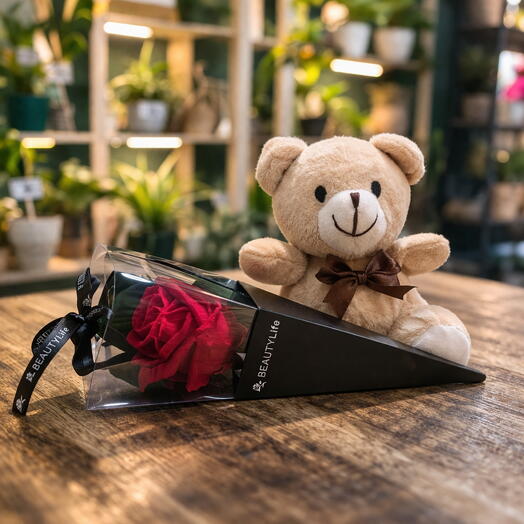 Rosa roja Eterna con Osito