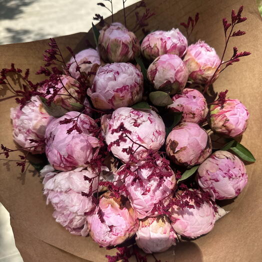 PEONIA Select coton rose