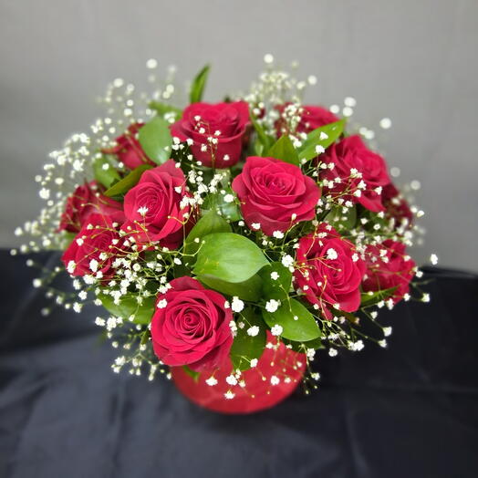 Rosa nevada