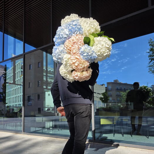 Magic in bloom