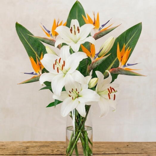 White Paradise Arrangement - Strelitzias and White Lilies